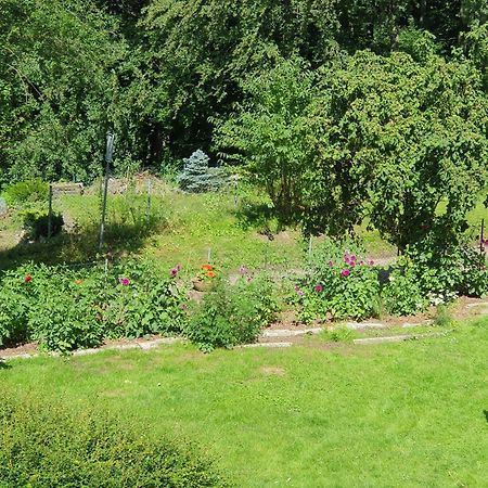 Ferienhaus In Geesthacht-Tesperhude Direkt Am Waldrand エクステリア 写真