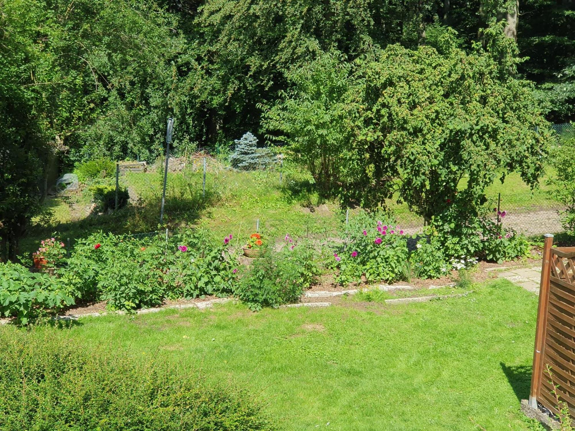 Ferienhaus In Geesthacht-Tesperhude Direkt Am Waldrand エクステリア 写真
