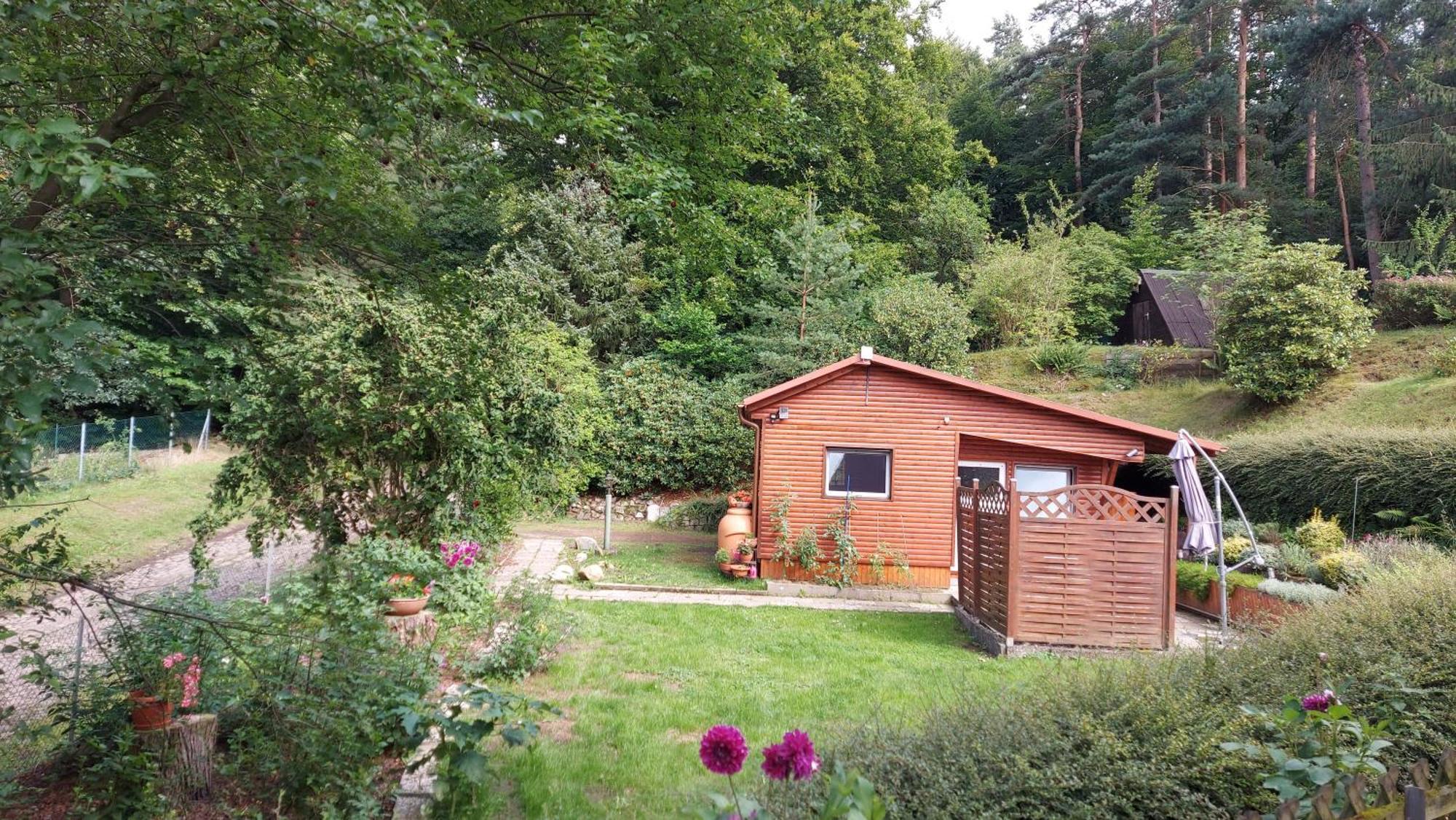 Ferienhaus In Geesthacht-Tesperhude Direkt Am Waldrand エクステリア 写真