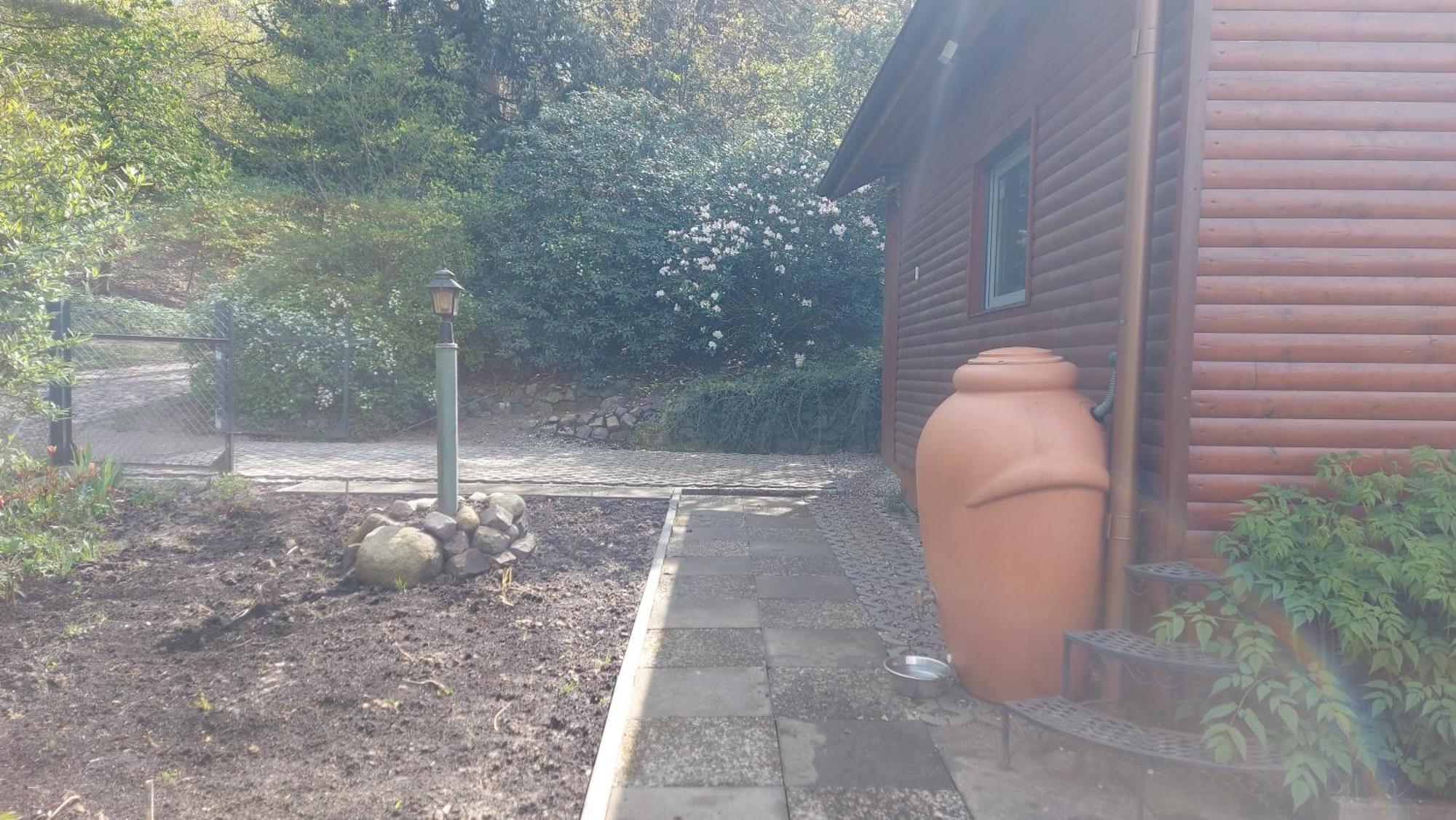 Ferienhaus In Geesthacht-Tesperhude Direkt Am Waldrand エクステリア 写真