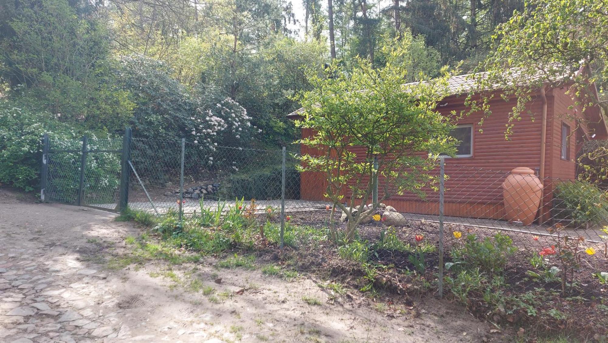 Ferienhaus In Geesthacht-Tesperhude Direkt Am Waldrand エクステリア 写真