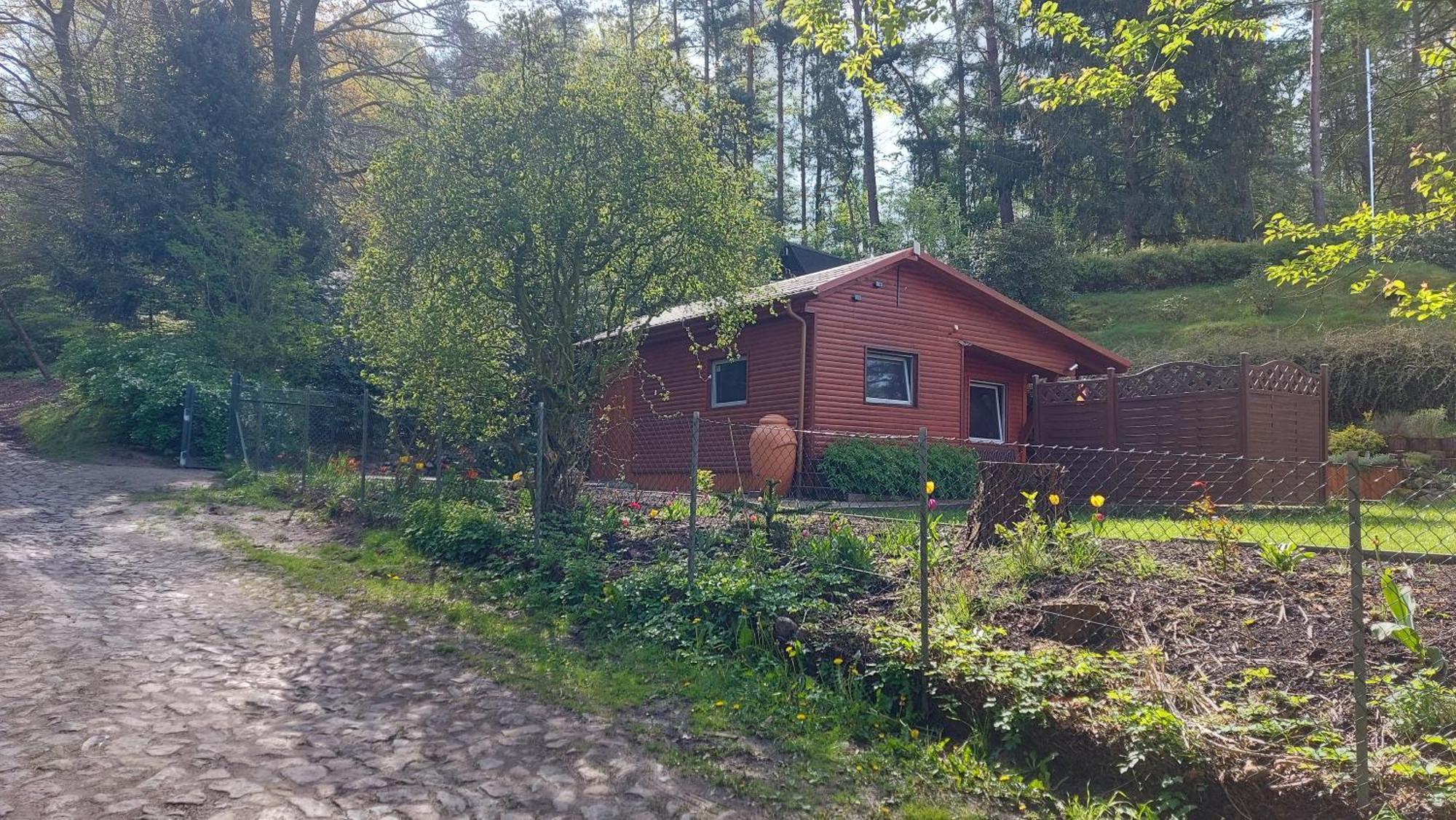 Ferienhaus In Geesthacht-Tesperhude Direkt Am Waldrand エクステリア 写真