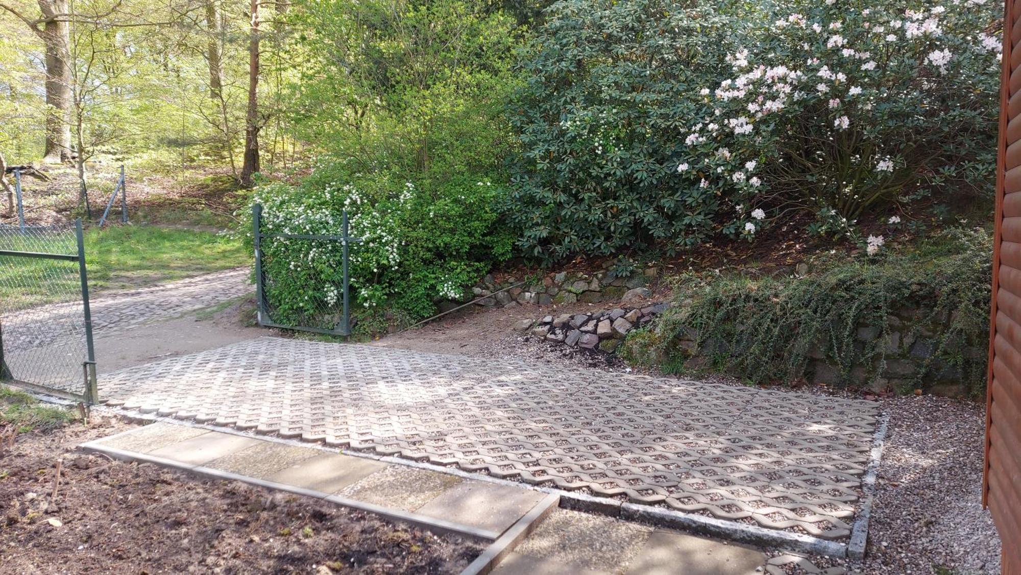 Ferienhaus In Geesthacht-Tesperhude Direkt Am Waldrand エクステリア 写真